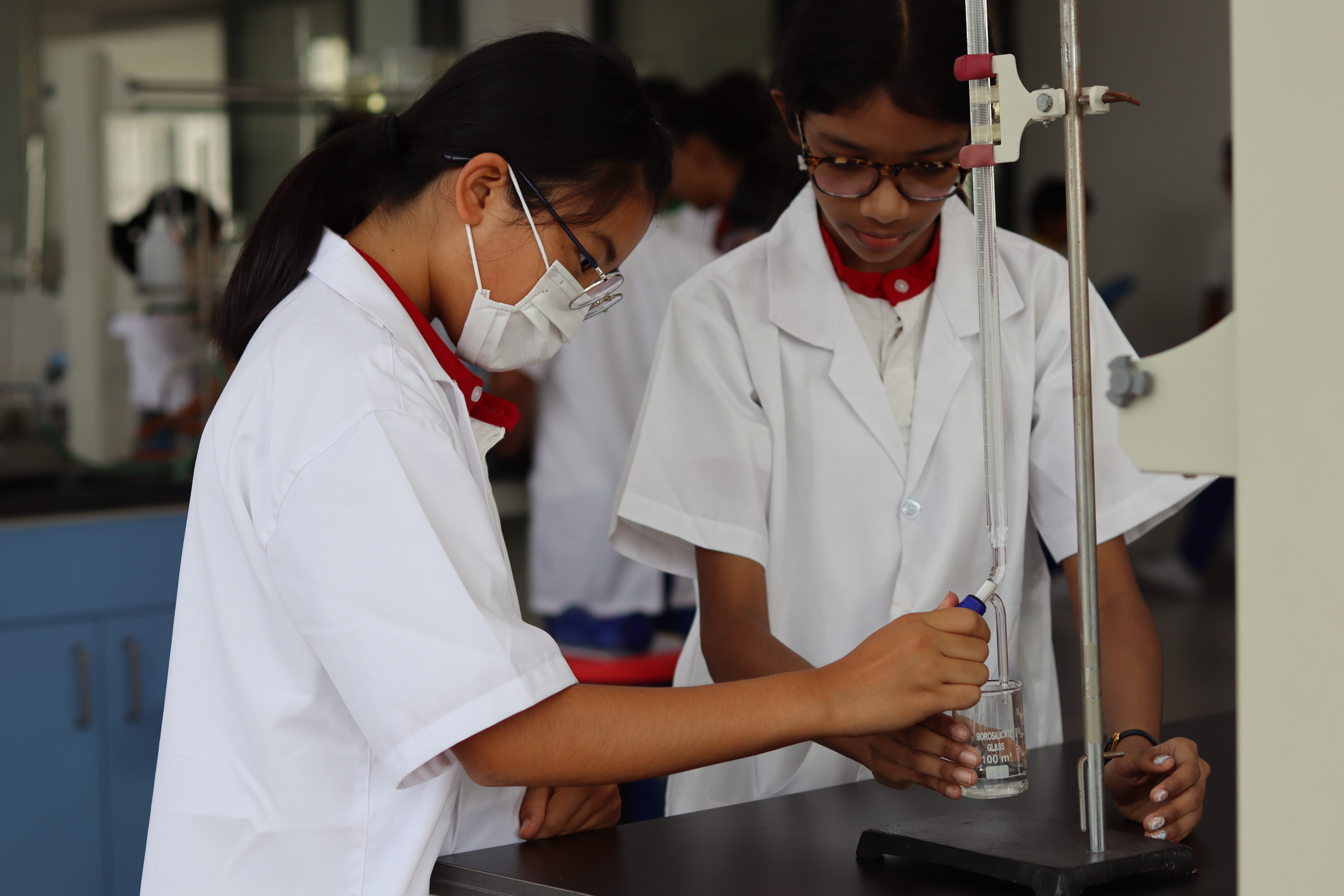 aLphabet internationaL schooL — Arts